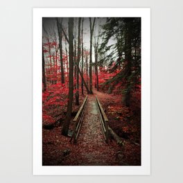 Bridge Through Autumn Forest Art Print