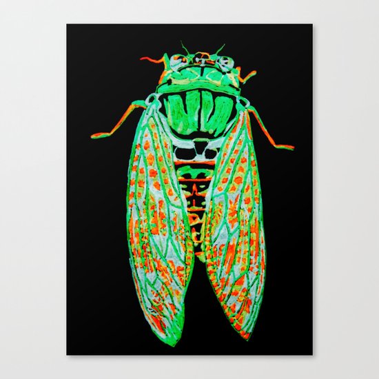 Cicada (Inverted) Canvas Print