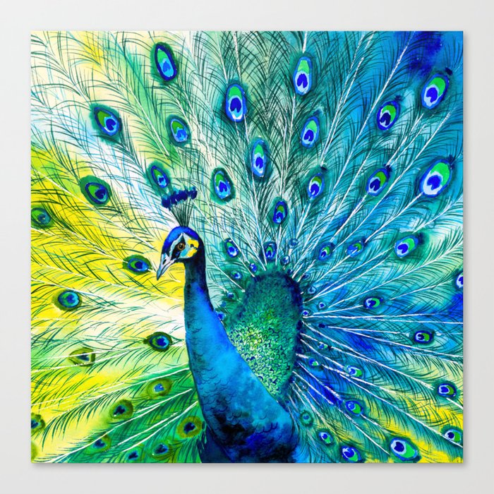 peacock showing off Canvas Print