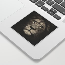 Portrait of a lion king - monochrome photography illustration Sticker