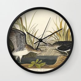 Solitary Sandpiper from Birds of America (1827) by John James Audubon  Wall Clock