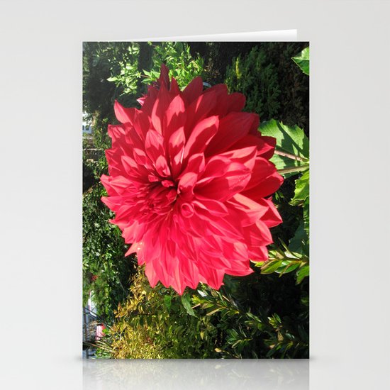 Blooming Just For You Stationery Cards