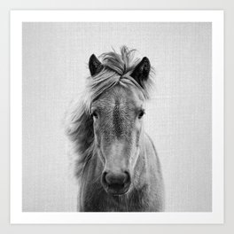 Wild Horse - Black & White Art Print