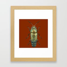Beetle Framed Art Print