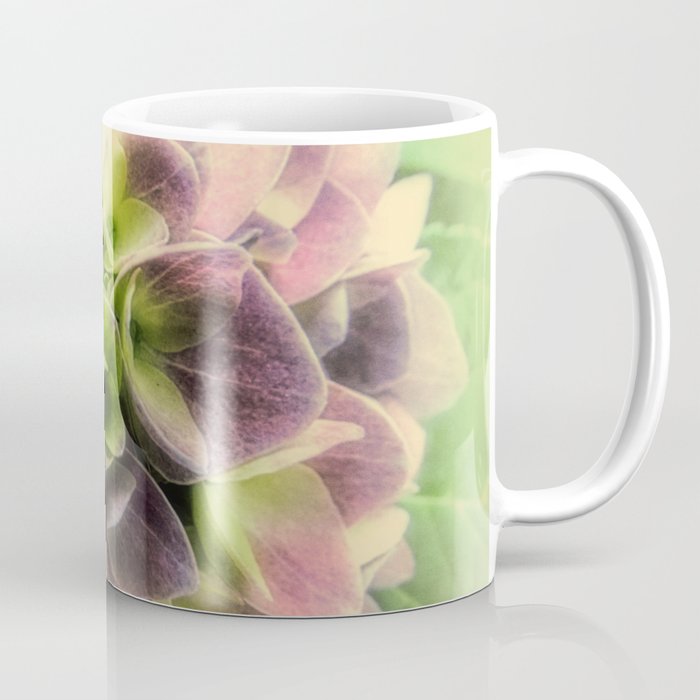 Soft Hydrangea Flower Modern Country Farmhouse Art A422 Coffee Mug