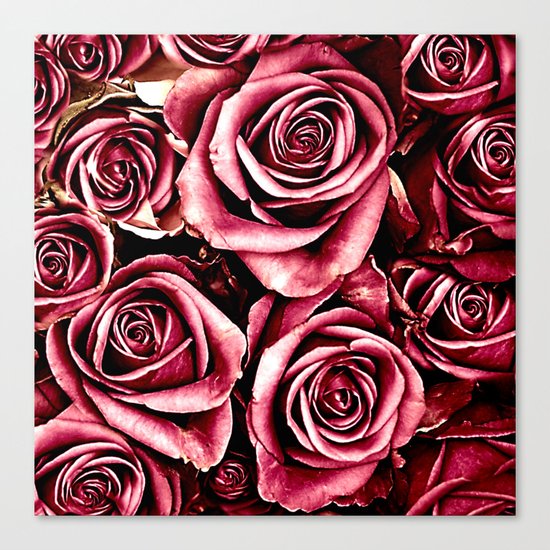 Vintage roses(4) Canvas Print