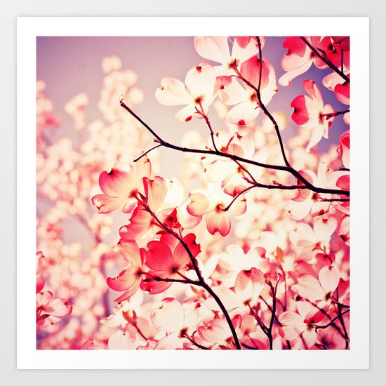 Dialogue With the Sky Art Print