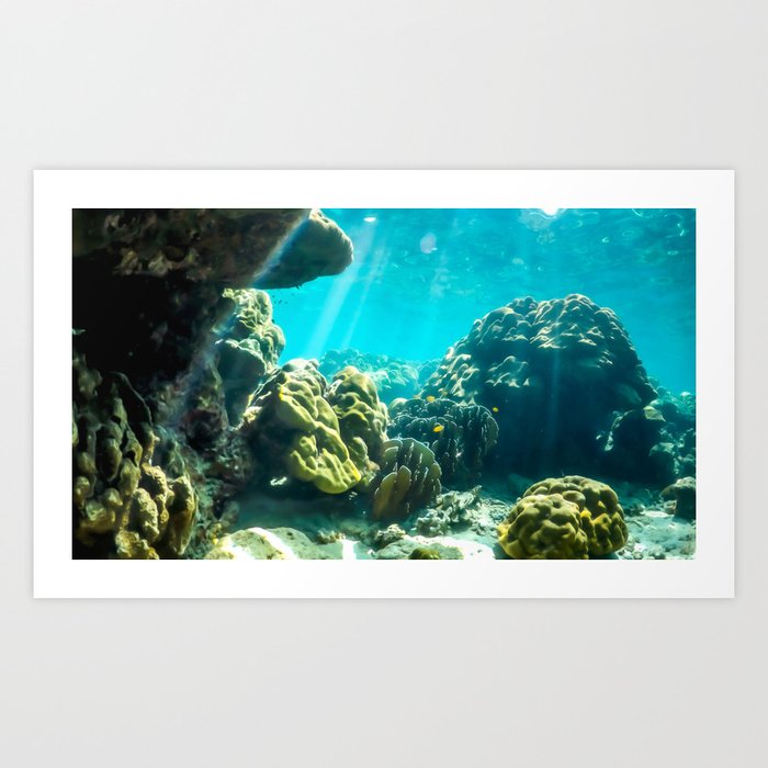Tropical Underwater Scene Art Print