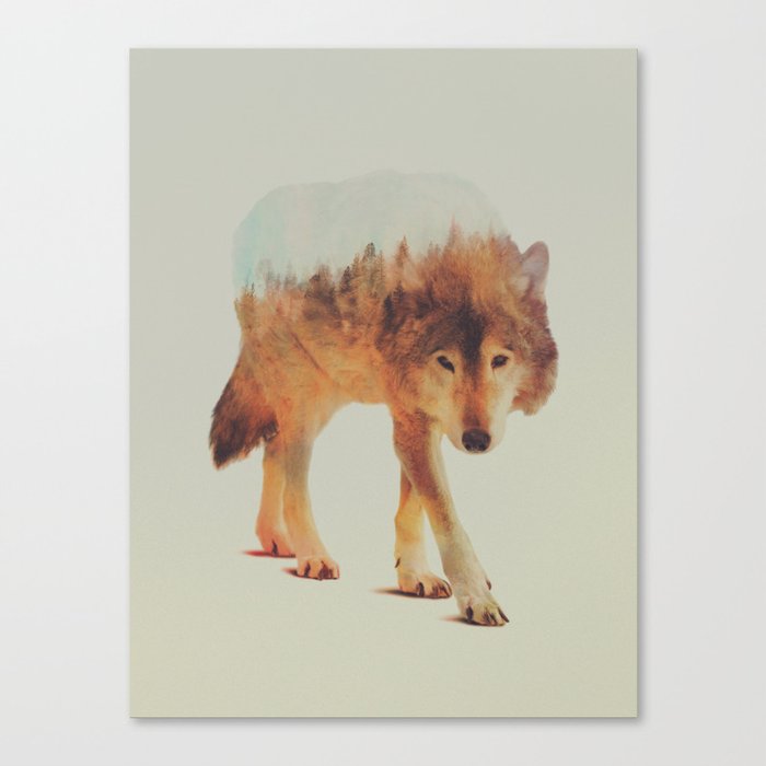 Wolf In The Woods #2 Canvas Print