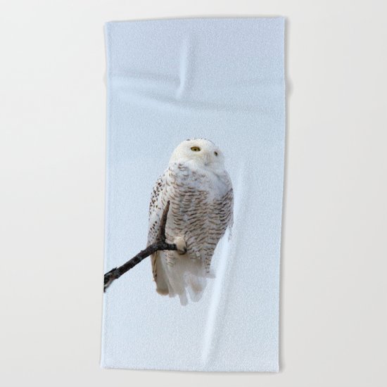 Lofty Vision (Snowy Owl) Beach Towel