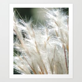Beauty on the nature trail Art Print
