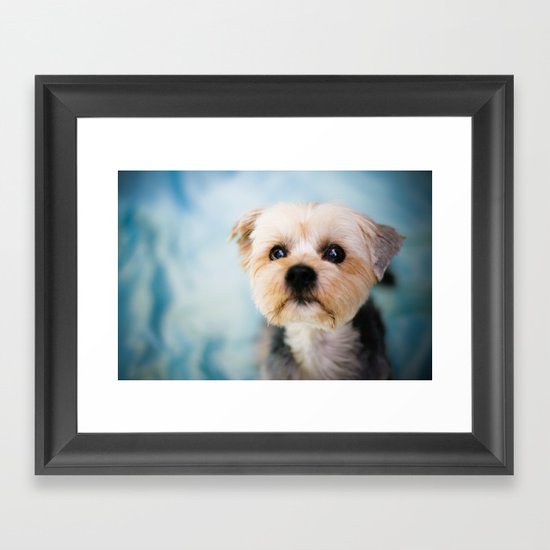 Puppy Framed Art Print