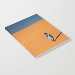 Searching for "Sand Fish" Notebook