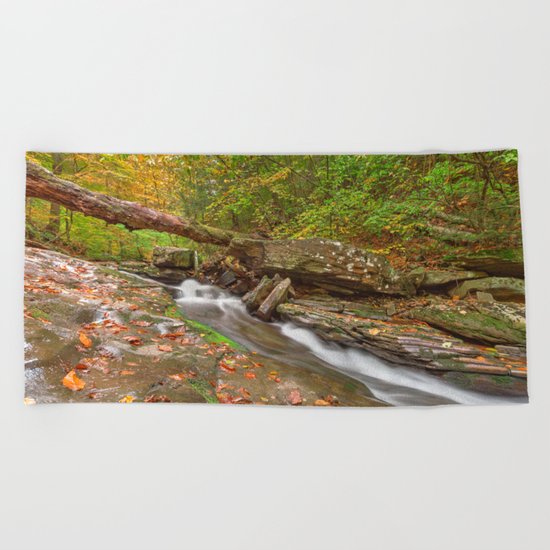 Ricketts Glen Autumn Stream Beach Towel