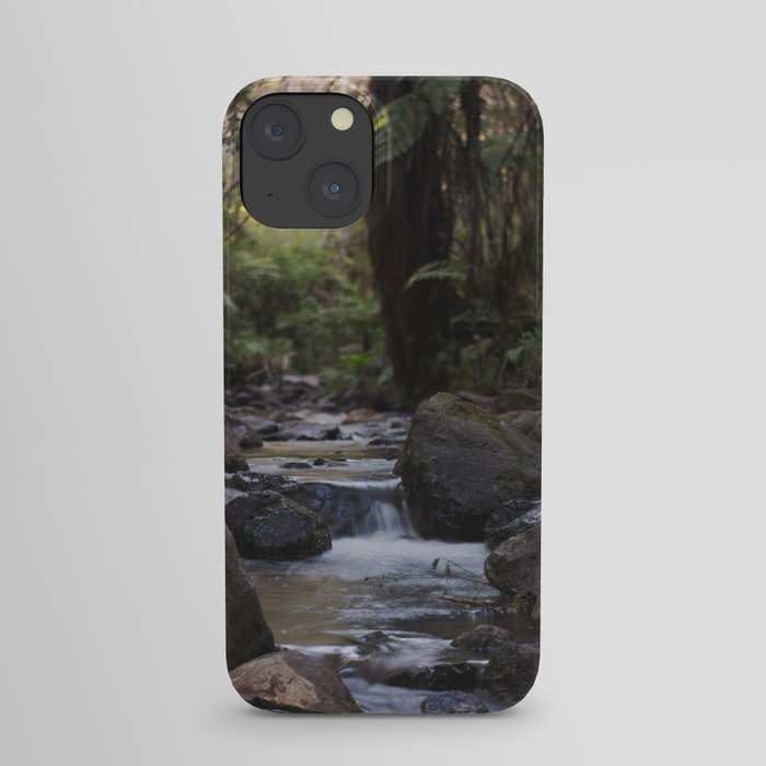 native bush creek iPhone Case