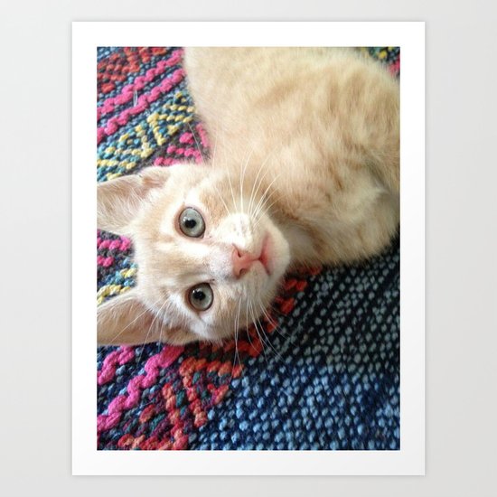 CAT Art Print