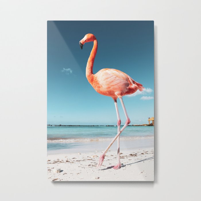 Free as a bird, 2. Flamingo on Aruba Metal Print