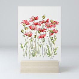 Red Poppies, Illustration Mini Art Print