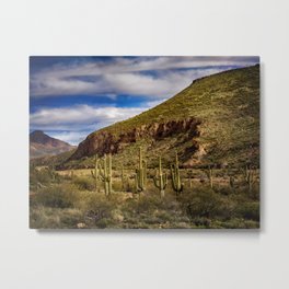 Saguaros in the Desert Metal Print | Landscape, Nature, Photo, Desert, Arizona, Succulant, Plant, Mountain, Kathyweaver, Outdoors 