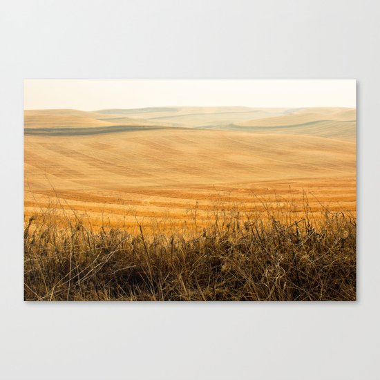 Golden Fields after Harvest Canvas Print