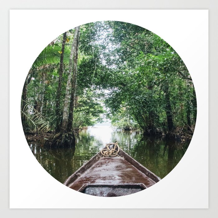 Into The Amazon Rainforest Fine Art Print Art Print by Sidecarphoto
