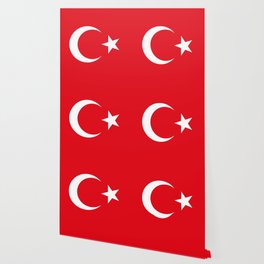 Turkish Flag Wallpaper For Any Decor Style Society6