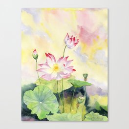 Lotus  Canvas Print