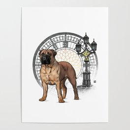Dog Collection - England - Bullmastiff (#5) Poster