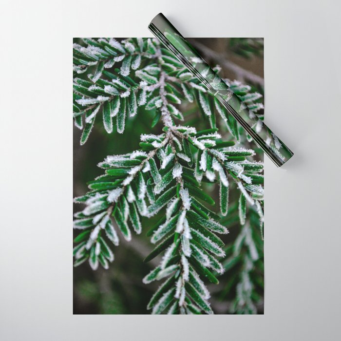 Frosted Hemlock Wrapping Paper