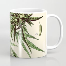 Cannabis Sativa - Vintage botanical illustration Mug