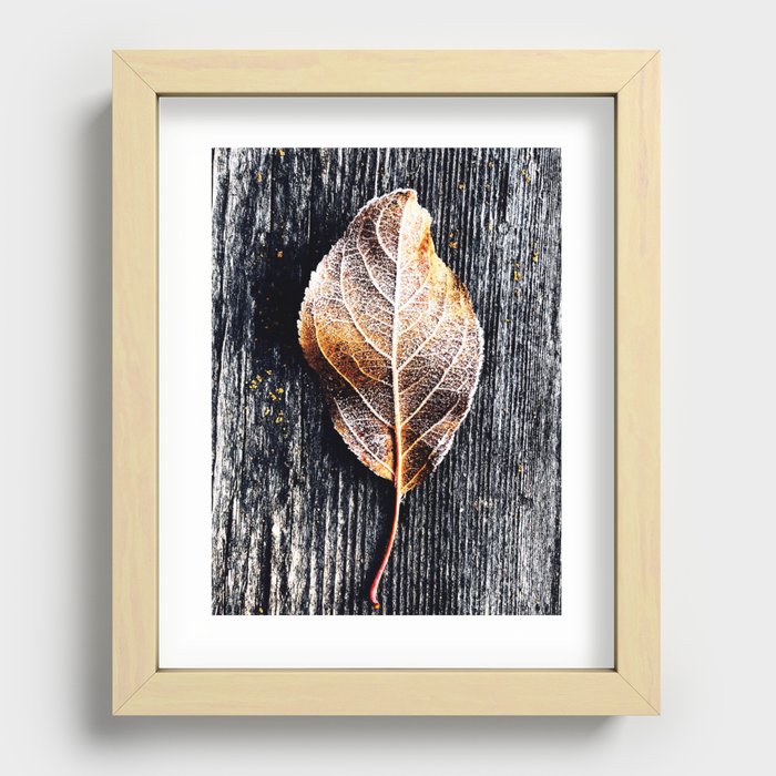 "Frostbitten" / Leaf Recessed Framed Print