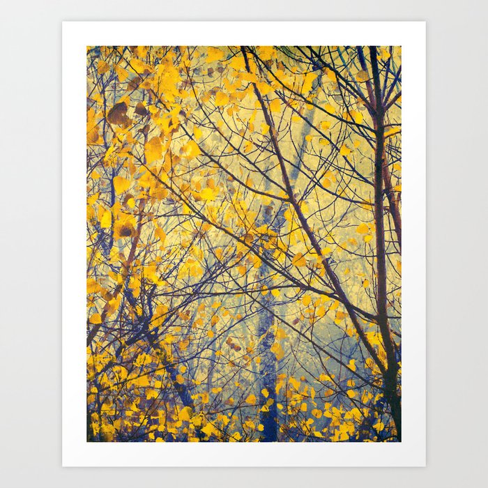 Fall Trees IX - Yellow Leaves - Autumn Forest - Woodlands Photography by Ingrid Beddoes Art Print