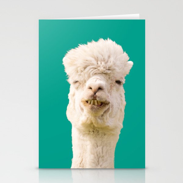Funny Alpaca Stationery Cards