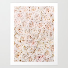 Ivory Rose Art Print