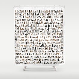 Dogs, Dogs and dogs Shower Curtain