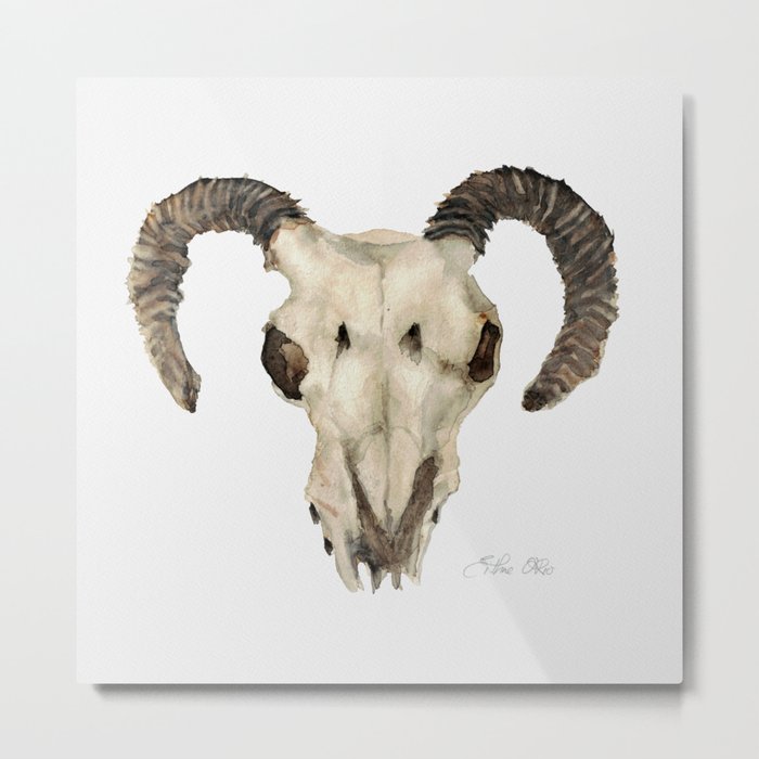 Ram Skull Metal Print