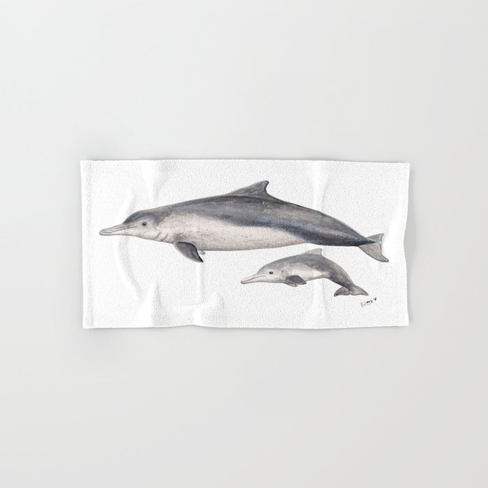 Australian humpback dolphin (Sousa sahulensis) with baby Hand & Bath Towel