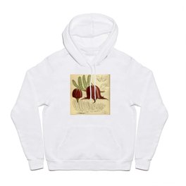 Stapelia leendertziae 140 8561 Hoody