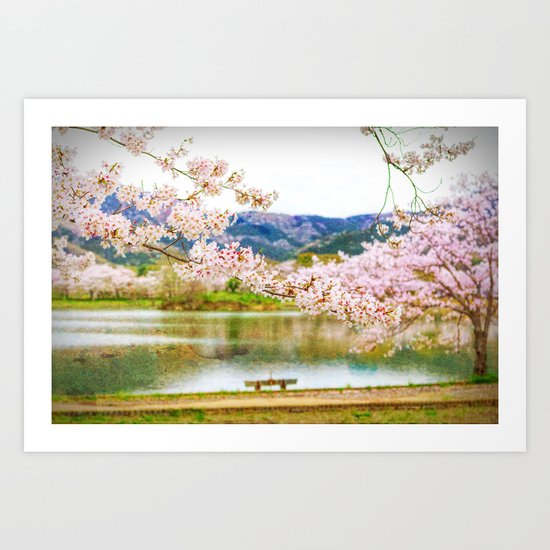Beautiful cherry blossom and pond 2 Art Print