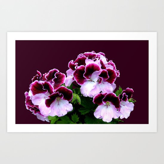 Pink, Purple, Flower Power Art Print