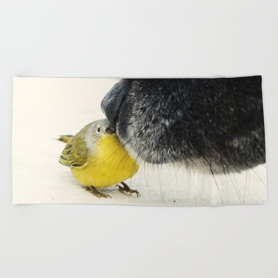 Best Friends Beach Towel