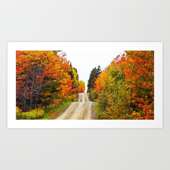 Nature's Secret Highway Art Print