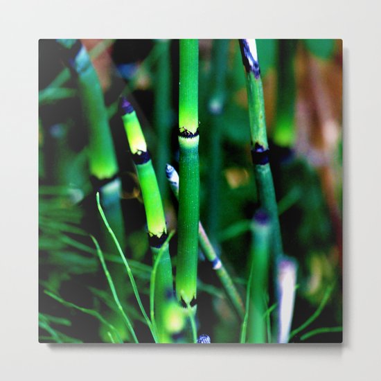 The Scouring Rush Metal Print