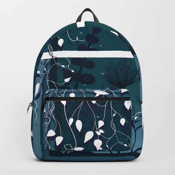 kitty backpack with window