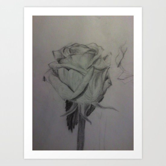 rose Art Print
