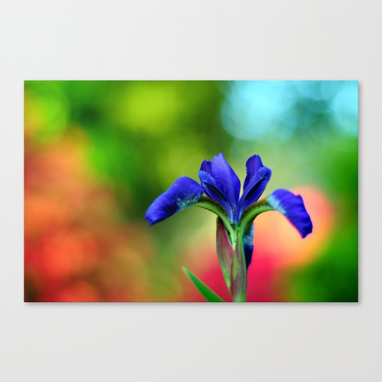 If You Believe in Unicorns Canvas Print