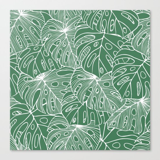 Philodendron Canvas Print