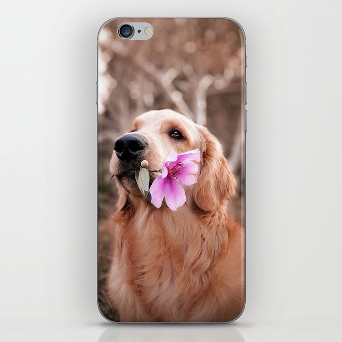 Dog with a Flower iPhone Skin