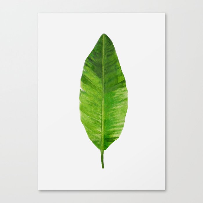 Banana Leaf Canvas Print