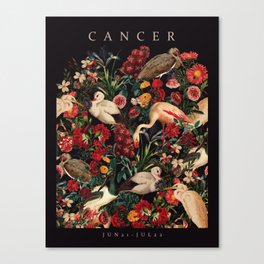 CANCER II Canvas Print